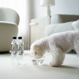 NUZZLE PUZZLE PICO Pet Water