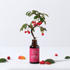 DR. ORGA 100 Pure Rosehip Oil
