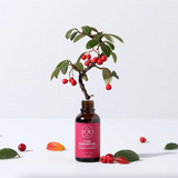DR. ORGA 100 Pure Rosehip Oil