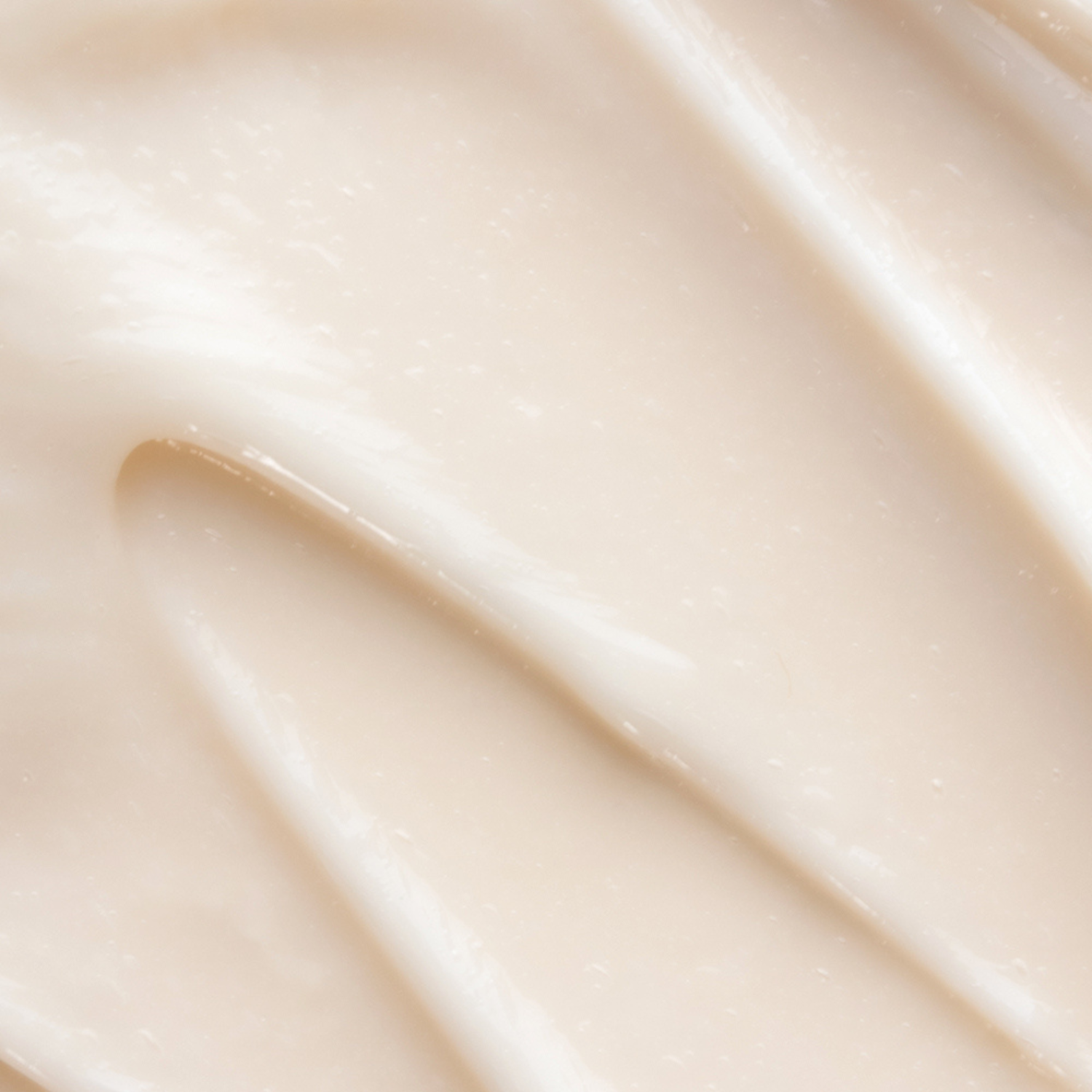 VELLA Necessary Neck Cream